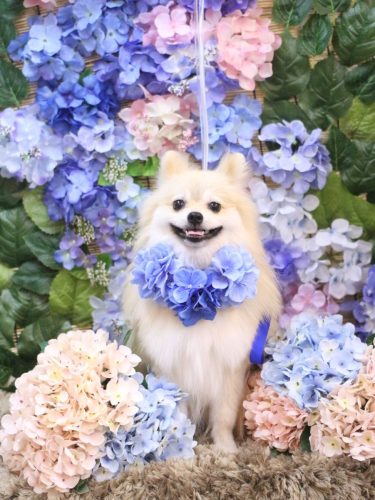 20250608なちゅくん